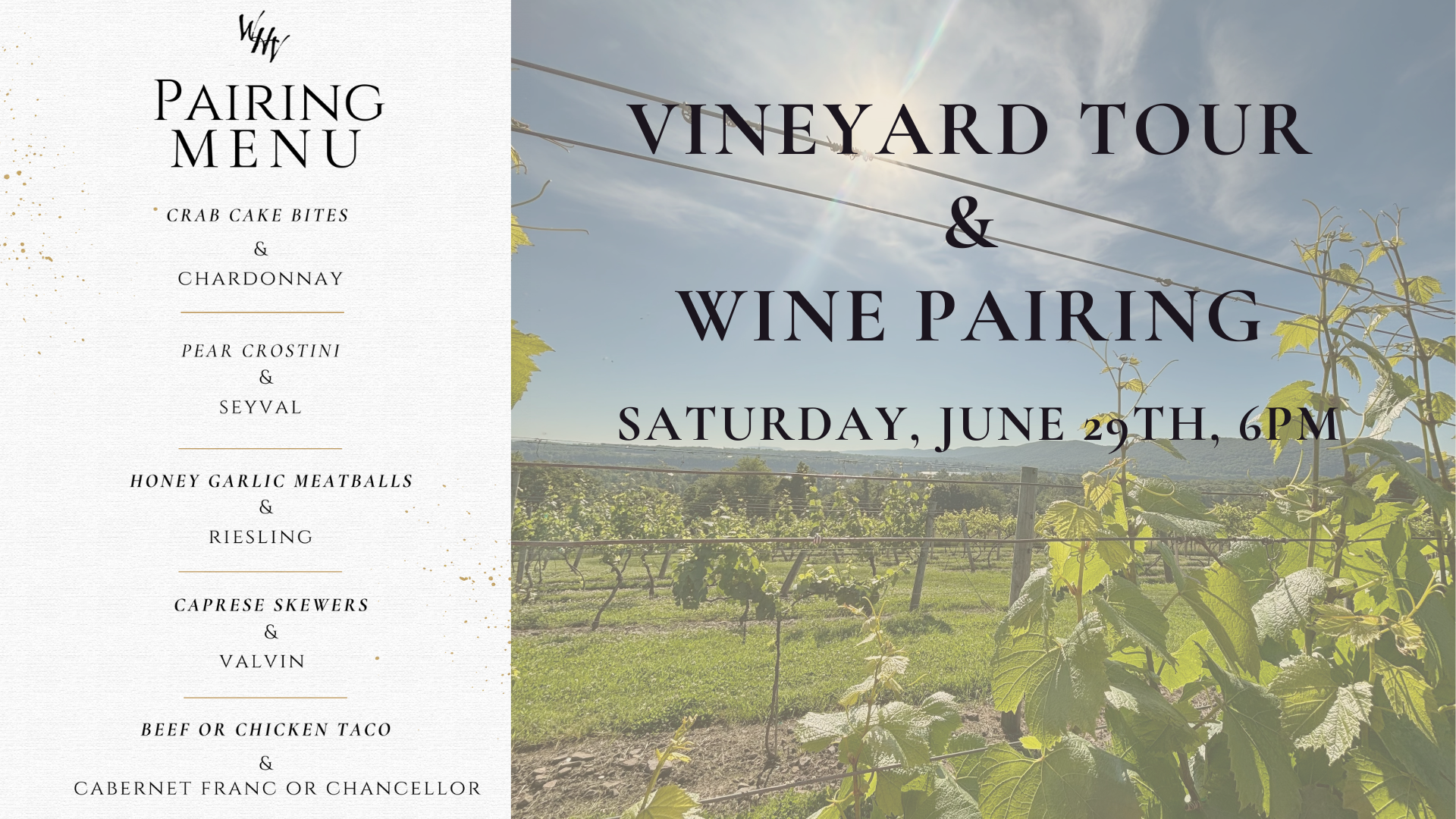 Vineyard Tour & Wine Pairing!